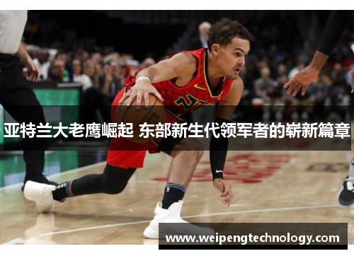 亚特兰大老鹰崛起 东部新生代领军者的崭新篇章
