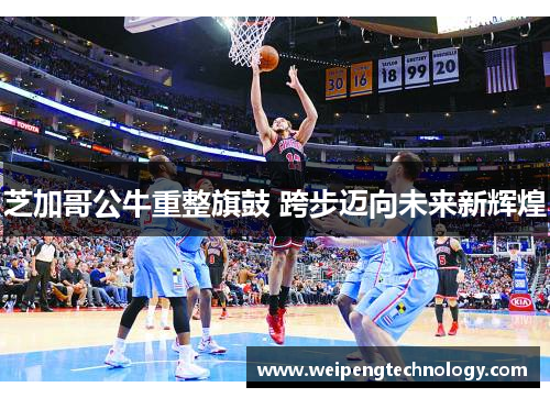 芝加哥公牛重整旗鼓 跨步迈向未来新辉煌