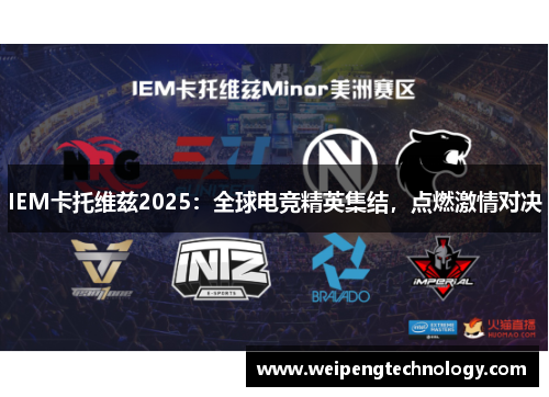 IEM卡托维兹2025：全球电竞精英集结，点燃激情对决