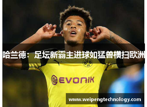 哈兰德：足坛新霸主进球如猛兽横扫欧洲