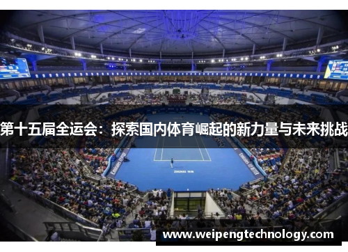 第十五届全运会：探索国内体育崛起的新力量与未来挑战