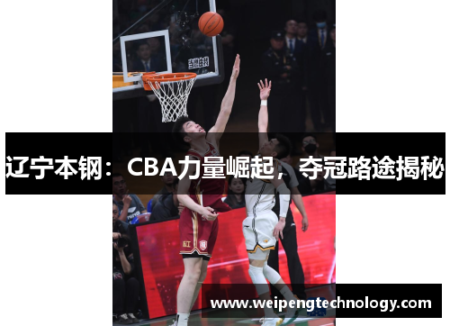 辽宁本钢：CBA力量崛起，夺冠路途揭秘