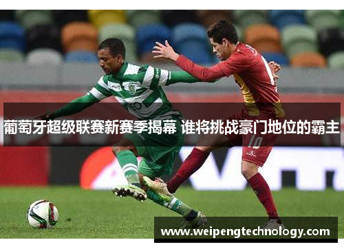 葡萄牙超级联赛新赛季揭幕 谁将挑战豪门地位的霸主