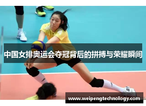中国女排奥运会夺冠背后的拼搏与荣耀瞬间